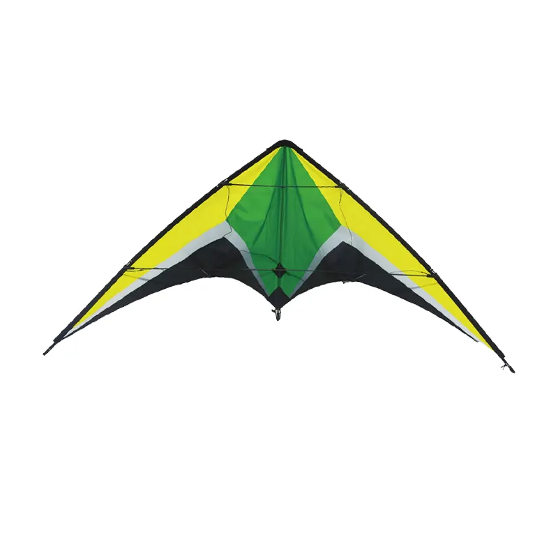 Two Line Power Parafoil Kite Sport Sterkere Power Kites Voor Training En Vliegende Power Kite Oem/Odm