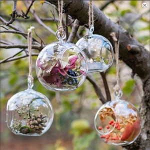 Globe suspendu <span class=keywords><strong>en</strong></span> <span class=keywords><strong>verre</strong></span> de terrarium, porte-bougie <span class=keywords><strong>à</strong></span> Air de plantes <span class=keywords><strong>à</strong></span> thé avec ficelle <span class=keywords><strong>pour</strong></span> décorations de mariage - Product Image 4