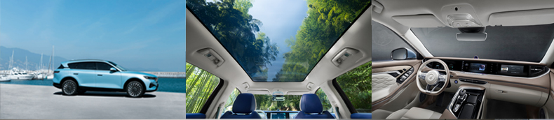 Electric motor ev car in china new energy vehicles 2021