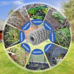 0.6mm Galvanized Hexagonal <b>Wire</b> <b>Mesh</b> for Chicken <b>Wire</b> 23GA 1 Inch Opening 16inchx82ft Roll Animal Cage Anti-rat Fencing - Product Image 6