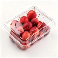 Contenants d'emballage alimentaire rectangulaires en plastique PET transparent recyclable, dimensions personnalisables, impression possible