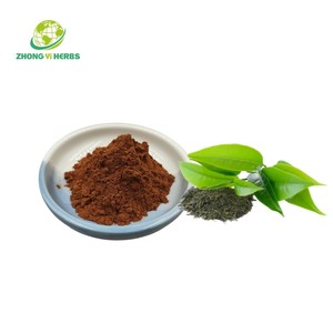 Ekstrak teh hijau polifenol teh 98% alami massal - Product Image 3