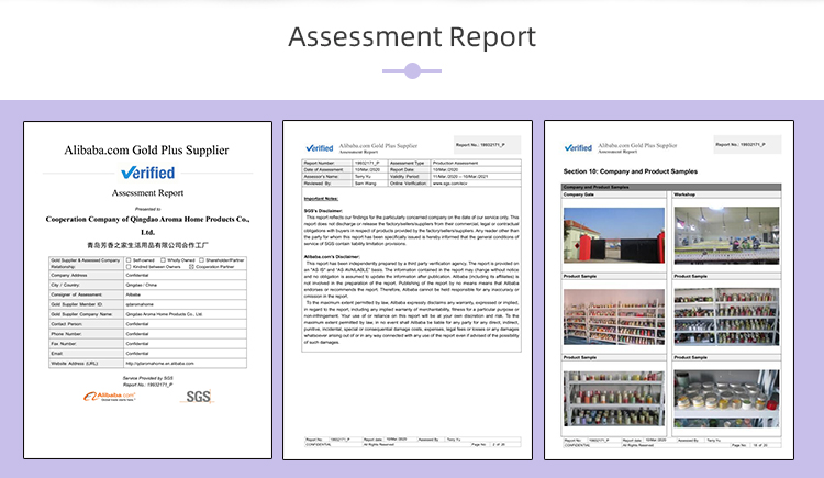 Oli essenziali di fragranza domestica dell'eucalyptus della menta piperita dell'OEM per profumo domestico 14