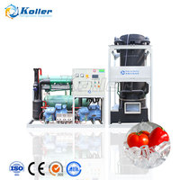 Machine à glace en tube Koller 10 tonnes/jour avec homologation CE pour la vente en Colombie, Amérique du Sud