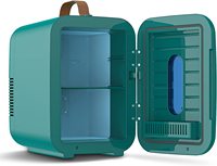 Mini-réfrigérateur 10L, refroidisseur et chauffe-eau, AC/DC 12V, prise UK/EU, portable pour la maison, les voyages, le camping, classe énergétique E, dégivrage manuel