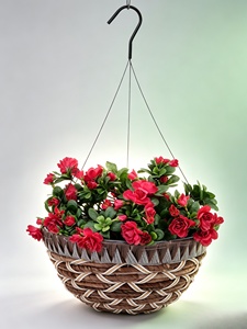 Panier suspendu <span class=keywords><strong>en</strong></span> corde <span class=keywords><strong>tressée</strong></span>, pot de fleurs décoratif tressé, panier suspendu pour plantes d'intérieur et d'extérieur pour la verdure - Product Image 3