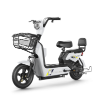 Sepeda Listrik Baterai Asam Timbal 500W 45kmph Harga Pabrik Murah, Jarak Jauh, Cocok untuk Komuter Kota