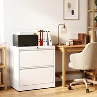 Armoire de bureau professionnelle à 2 tiroirs en acier laminé à froid épais avec serrure sécurisée, unité de classement multi-tiroirs pour documents de grande taille