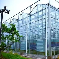 Système hydroponique de serre le plus vendu en usine, économique et adapté à l'agriculture