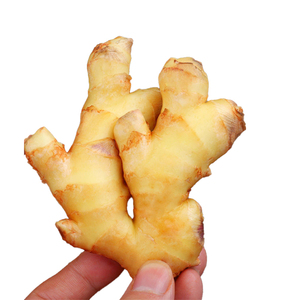 Produsen Memasok Jahe Segar Organik Jual Jahe Kualitas Baik Jahe Segar - Product Image 2
