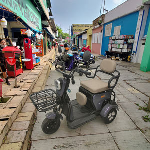 Nouveau tricycle électrique compact 2 <span class=keywords><strong>places</strong></span> populaire 60v véhicule de tourisme à 3 roues facile à utiliser corps ouvert sans tracas 48v - Product Image 6