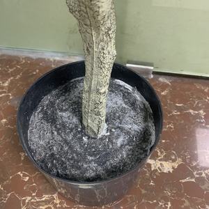 120cm <span class=keywords><strong>Sakura</strong></span> Tree <span class=keywords><strong>Bonsai</strong></span> Flower Tree Árboles de <span class=keywords><strong>cerezo</strong></span> artificiales en maceta para oficina en casa - Product Image 4