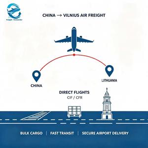 Transitaire aérien chinois : Approvisionnement en gros, livraison rapide et sécurisée LCL/FCL à VNO, PLQ, KUN, <span class=keywords><strong>SQQ</strong></span>, CIF/CFR, livraison à l'aéroport en Lituanie - Product Image 4