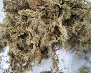 Sol pour fleurs en pot, plantes succulentes, stéréo, mousse d'eau sèche, pour, vente en gros - Product Image 3