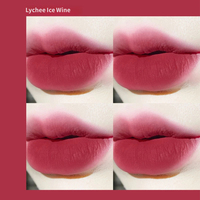 Vente en gros de mousse à lèvres mate, rouge à lèvres liquide longue tenue, gloss à lèvres non transférable pour les marques de maquillage