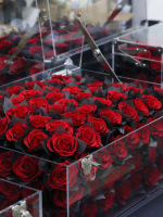 Aktiv für Ewige Blumen: Natürliche Frische Rose Weihnachtsgeschenkset - Eventdekoration, Langlebig für 3-5 Jahre