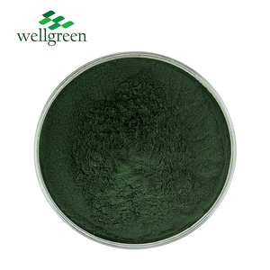 Poudre de Chlorella de qualité alimentaire biologique USDA, extrait de Chlorella Vulgaris testé par HPLC, emballage en fût Ker <span class=keywords><strong>Rai</strong></span> Ler, prix d'usine en vrac - Product Image 3