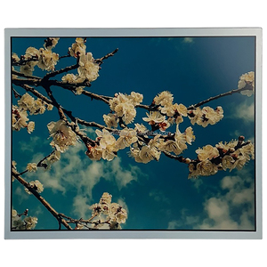 Boe DV190E0M-N11 19-inch TFT-LCD Bảng điều chỉnh IPS LCD Công nghệ hỗ trợ phong cảnh/chân dung hiển thị SXGA 1280x1024 LED Đèn nền 250 - Product Image 6