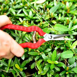 Stainless Steel Pruning Shears Red Plastic Handle Bypass Type For Branches 20-30 Mm Manual Operation - Product Image 4