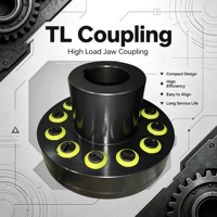 Accouplement rigide en acier SFS avec boulon TL, couple élevé, excellente performance élastique, personnalisation OEM, non standard, garantie 1 an