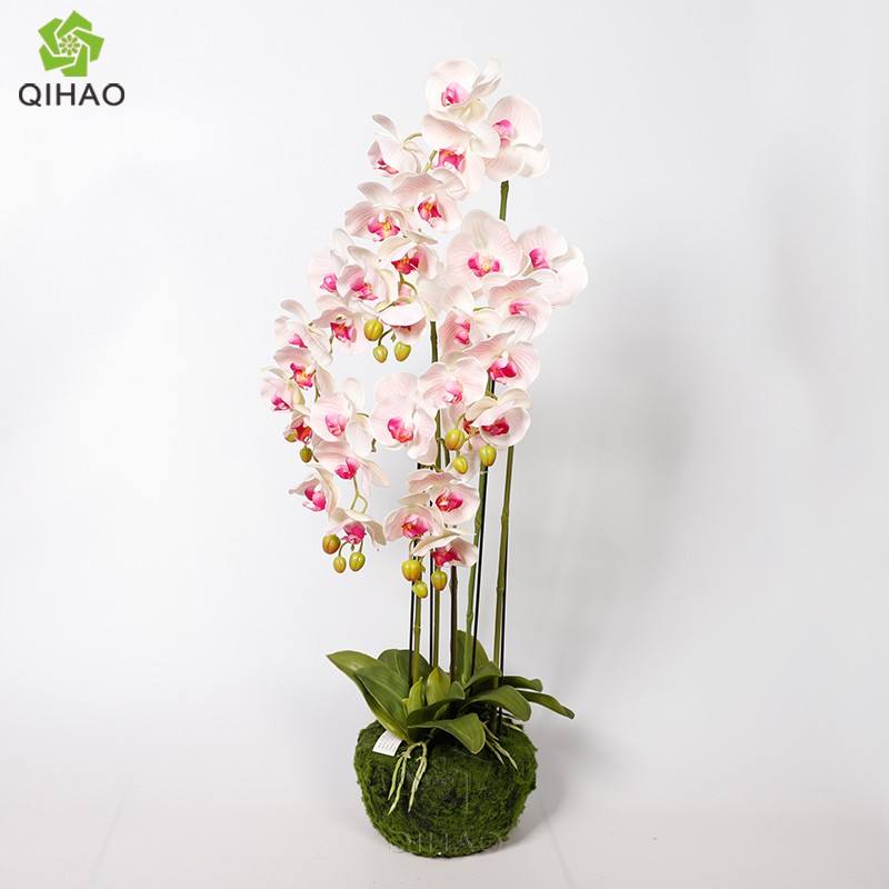 สีชมพูอ่อน