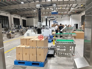 Robot de palettisation automatique pour sacs, cartons et caisses – Machine de palettisation robotisée – Empileur robotisé - Product Image 3