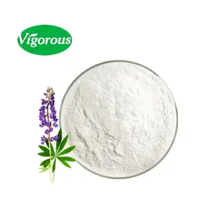 Best quality White lupin powder 8%Lupeol HPLC Organic Lupinus Albus Extract