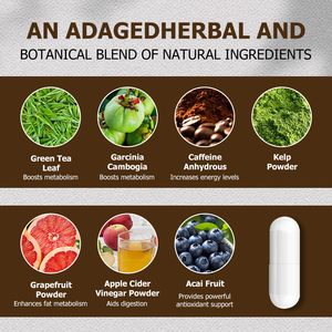 Capsules brûle-graisses thermogéniques directement de l'usine avec feuilles de thé vert, améliorent les niveaux d'énergie et soutiennent le métabolisme - Product Image 3