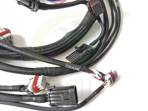 ホーリーEFI配線ハーネス558-102 LS1/6メインハーネス（HP EFIドミネーターEFIおよびターミネーターXシステム用） - Product Image 4