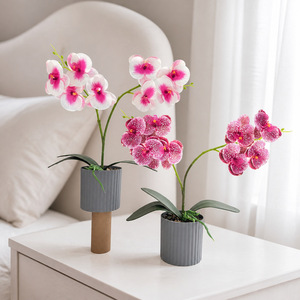 Orquídea Phalaenopsis Artificial de 36 cm con Maceta, Estilo Nórdico, Planta Decorativa para Mesa de Salón - Product Image 2