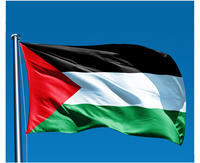Drapeau de la Palestine personnalisé, design gratuit, 3*5 pieds, 90*150 cm, drapeau national palestinien pour événements et activités