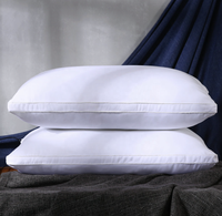 2023 nouvelle collection d'hôtels personnalisés 48*74cm oreiller de luxe à rayures oreiller de qualité hôtelière