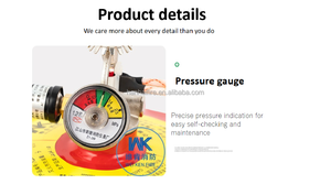 Équipement de lutte contre l'incendie, boule extinctrice <span class=keywords><strong>FM200</strong></span> suspendue, matériau en acier, personnalisable, <span class=keywords><strong>extincteur</strong></span> de haute qualité - Product Image 5