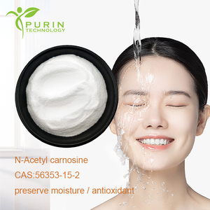 N-Asetil Karnosin 98% Spesifikasi Ganda Dipeptida Asetil Karnosin CAS 56353-15-2 Serbuk Karnosin Molekul Kecil - Product Image 4