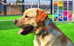 Collar ajustable De nailon para mascotas, Correa De <span class=keywords><strong>Perro</strong></span> Led De 3 Metros, accesorios novedosos que brillan en la oscuridad para Navidad - Product Image 6