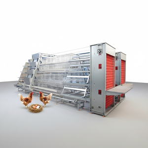 Nueva Jaula Comercial Tipo A <span class=keywords><strong>de</strong></span> Acero Galvanizado <span class=keywords><strong>de</strong></span> 3/4 Niveles para <span class=keywords><strong>Gallinas</strong></span> Ponedoras en Avicultura - Product Image 1