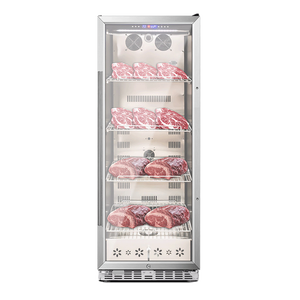 Professioneller Dry-Aging-Kühlschrank mit einer Abteilung für Dry Aging und Auftauen, Trockenreifeschrank für bis zu 220 Pfund - Product Image 4