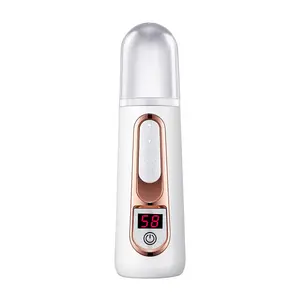 Strumento idratante all'ingrosso dispositivo macchina portatile Mini Steamer Sprayer Mist Spray facciale pelle portatile viso Nano Water