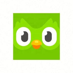 Cuenta Premium Duolingo Pro 1 Año, Activa Tu Propia Cuenta, Aplicable Globalmente en Todo el Mundo - Product Image 3