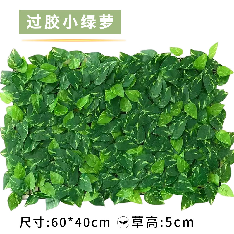 Plastic-coated small green plant