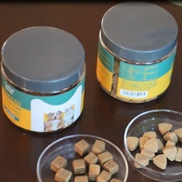 Anti-Allergy Soft Chews pour animaux de compagnie DHA EPA complexe pour le soutien immunitaire et les allergies cutanées Aliments sains pour animaux de compagnie