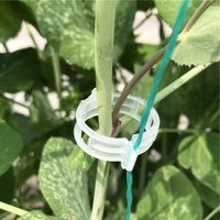 Clips de verrouillage de plante de tomate en plastique PLA biodégradable d'échantillon gratuit de vente d'usine pour vigne de tomate fixe