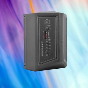 8 ''woofer 2-cách không dây di động PA Hệ thống loa công suất cao Bluetooth tương thích ngoài trời DJ âm thanh stereo Đảng Loa - Product Image 5