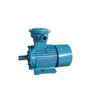 Totally Enclosed Asynchronous YBX3 132M-4 Fan 10 hp 3 Phase Electric 7.5kW Explosion Proof Motor 380V
