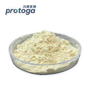 Protoga OEM, оптовая продажа, органический порошок Chlorella Pyrenoidosa