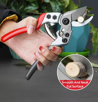 Ciseaux de jardin japonais professionnels SK5 pour élaguer les arbres fruitiers Ciseaux de jardin manuels en acier