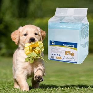 Échantillon Gratuit : Coussinets d'Entraînement Jetables Imperméables pour Chiots, Absorption d'Urine et de Pipi pour Animaux, Vente en Gros - Product Image 1