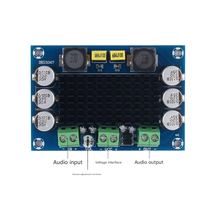 TPA3116D2 Carte d'amplificateur de puissance numérique mono 100W, module d'amplificateur audio monocanal de classe D DC12-26V pour subwoofer, HiFi