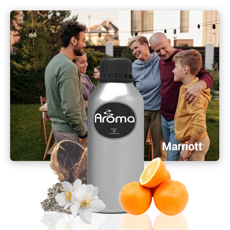 Ароматическое эфирное масло для ароматизатора AR7411, 500 мл, 0,5 кг