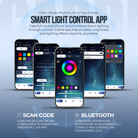 Kit de Luces LED Ambientales Moldeadas en Fábrica para LC250 - Estilo Cuero, Luces Interiores OEM con Control por APP, Interruptor y Voz, 12V